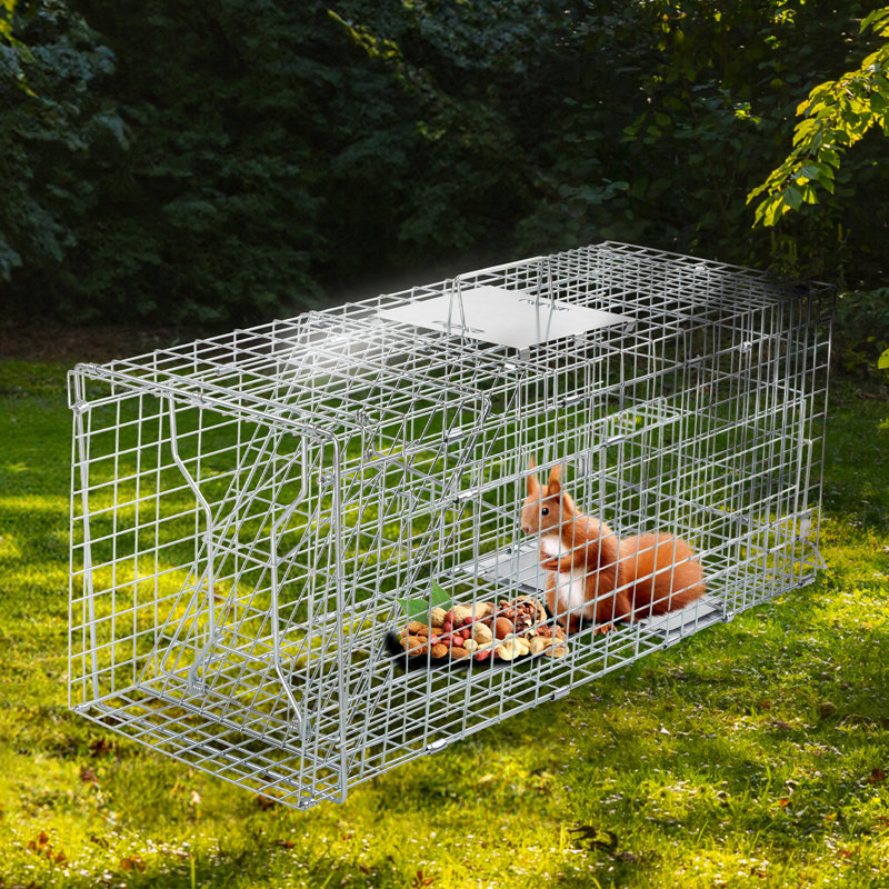 Siphon en fer pour petits animaux,  H 12,4 po x l 30,9 po x P 11,4 po