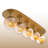 5 Lights Luxury Metal Body Glass Cap Semi Flush Mount