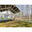 99.67 Square Feet Chicken Coop For Up To 24 Chickens