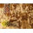 Arabica Abstract Indoor Rug