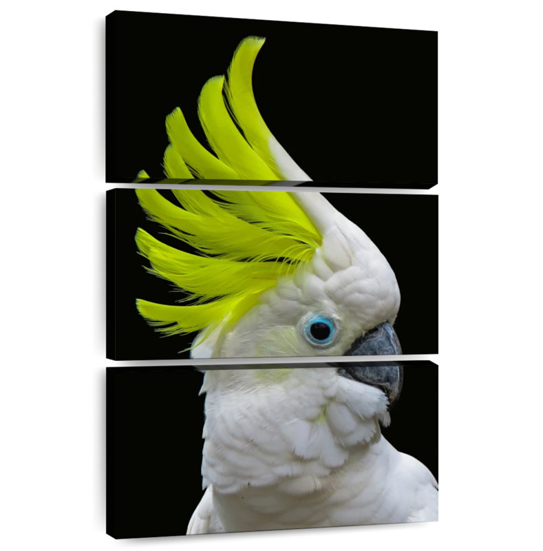 Brampt Yellow Crested Cockatoo, 50" H x 32" W