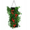Touch Of ECO Organic Seed Hanging Planter Bag Kit - Roma Tomato