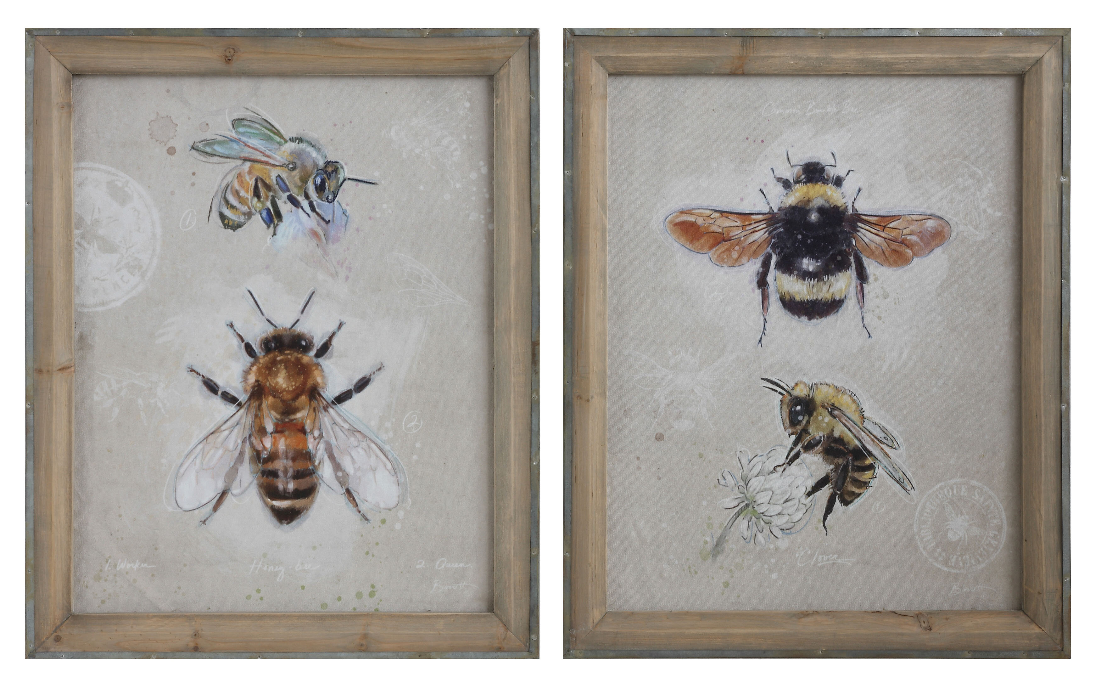 Rustic Bee Wall Art Farmhouse Honey Decor Canvas Prints Painting