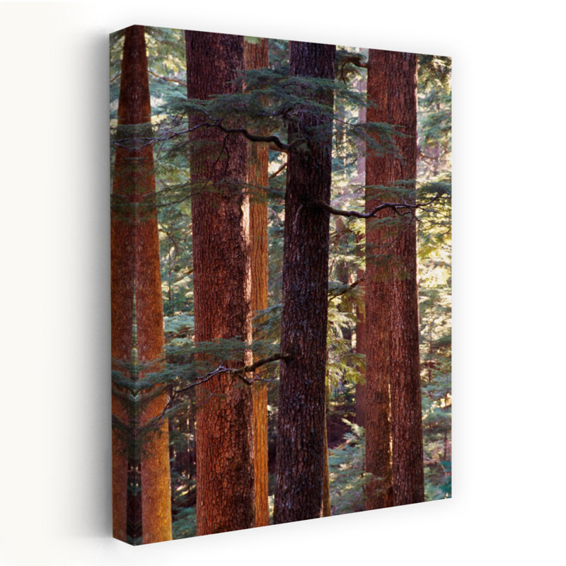 Pin contemporain abstrait, art de paysage naturel, H 60 po x l 40 po