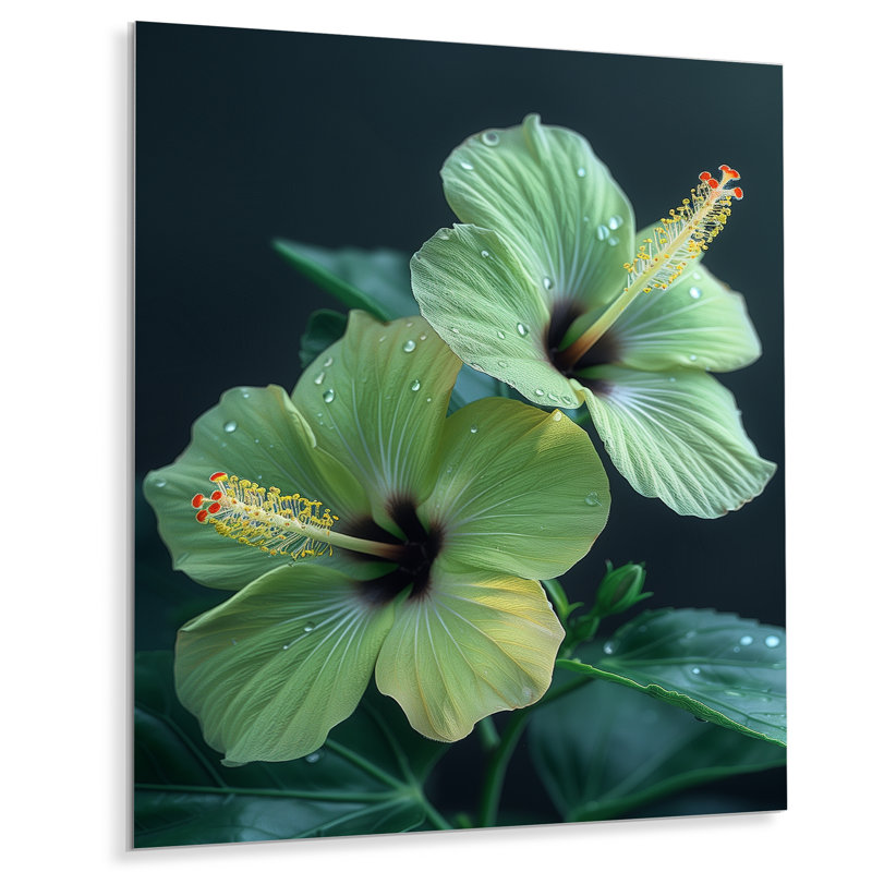 Décoration murale Gerber - Hibiscus, Métal métal, H 20 po x l 12 po x P 1 po