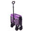 Collapsible Foldable Wagon With Wheels-125205177