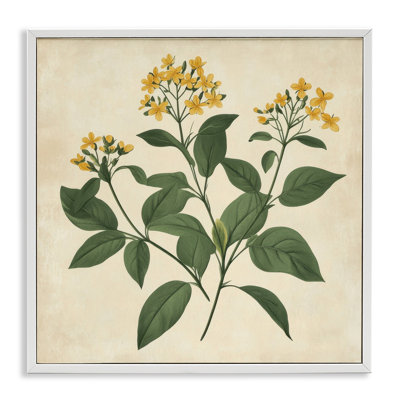 Yellow Bushels Botanical Illustration Framed Giclee, design by Petal Prints Design