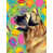 Leonberger sélectionné