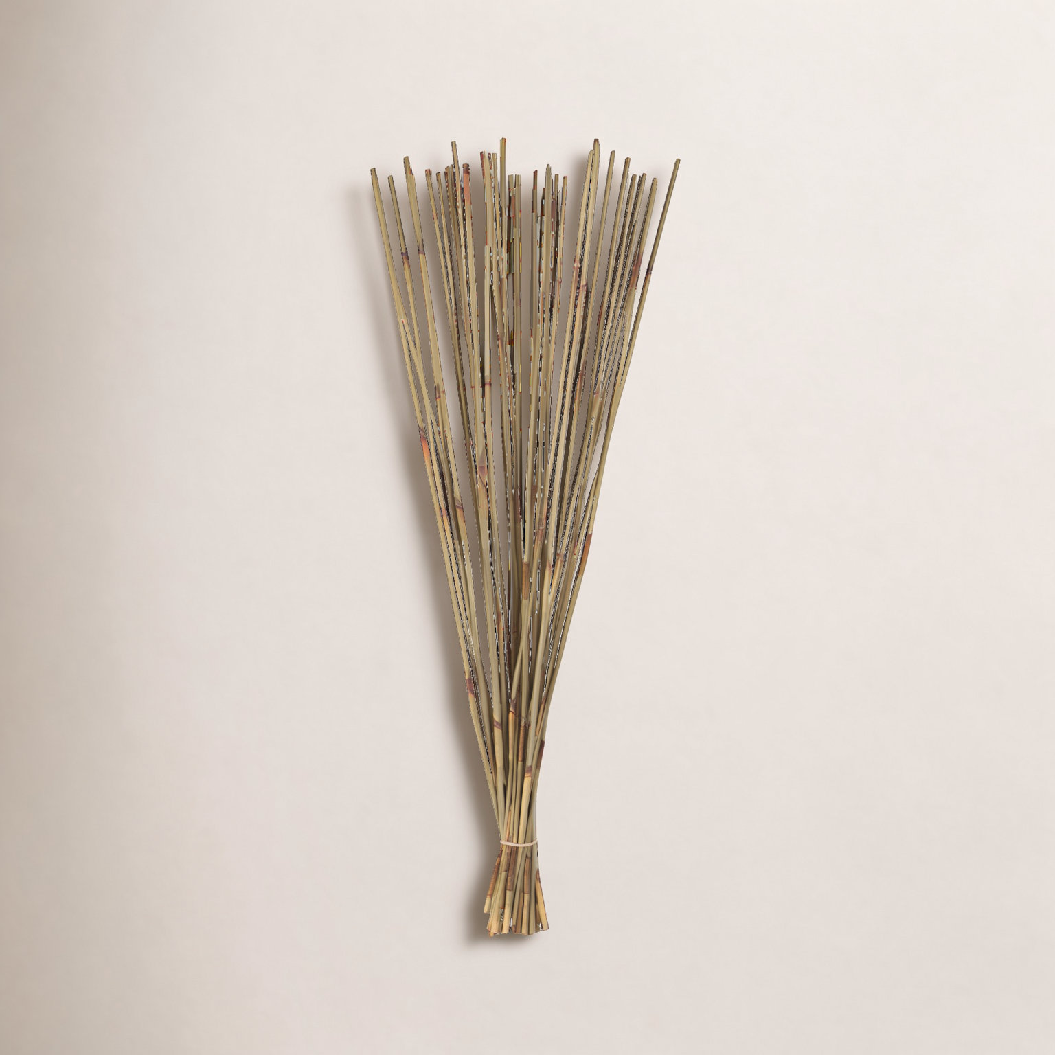 Dried Elephant Reed Stems, Natural