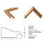 Specimen Trio 2 Print by Lillian August