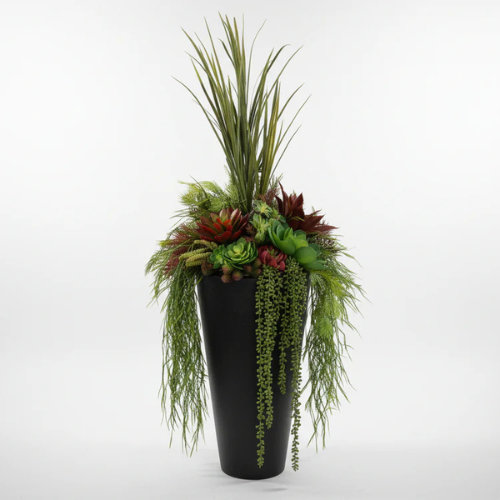 Pots de fleurs rouges succulents