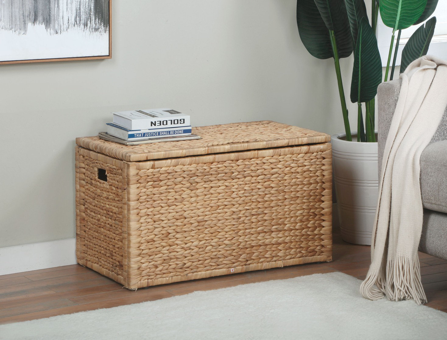 Highland Dunes Ved Heavy-duty Water Hyacinth Wicker Storage Trunk with Metal Frame & Reviews | Wayfair