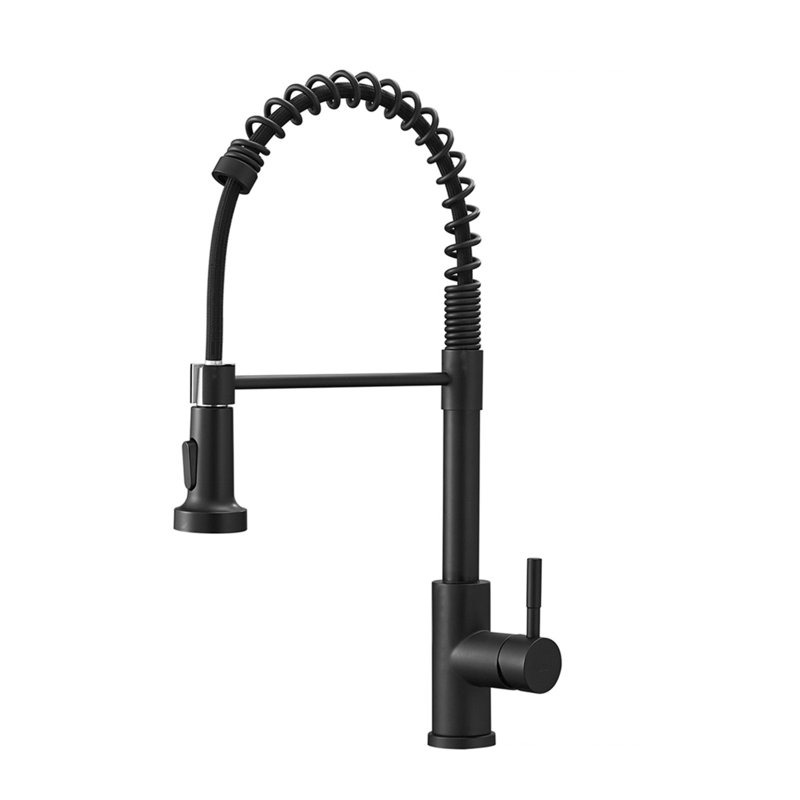 Robinet de cuisine noir avec douchette extractible, robinet d'évier de cuisine à poignée simple, Noir