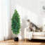 150cm Plant-1447866085