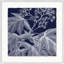 Transitional Leaf Composition On Navy 6 Print