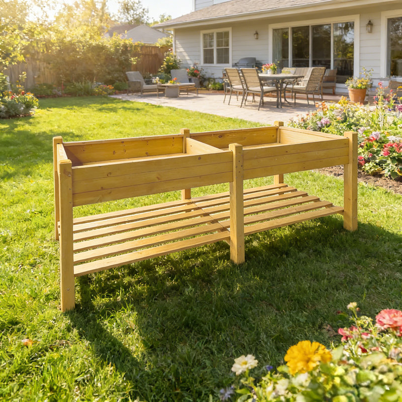 Très grand lit de jardin surélevé surélevé, Beige