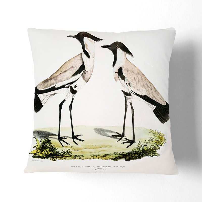 Illustration of Spur Winged Plover Birds by John Edward Gray Cushion with Filling, White, 55cm H x 55cm W x 20cm D