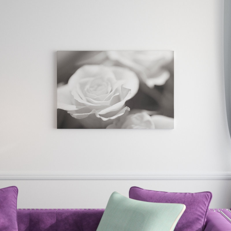 Rose Studies IV by James McLoughlin - Print on Canvas, 51cm H x 76cm W, Wrapped Canvas