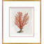 Coral In Red 6 Giclee Print by Dana Gibson
