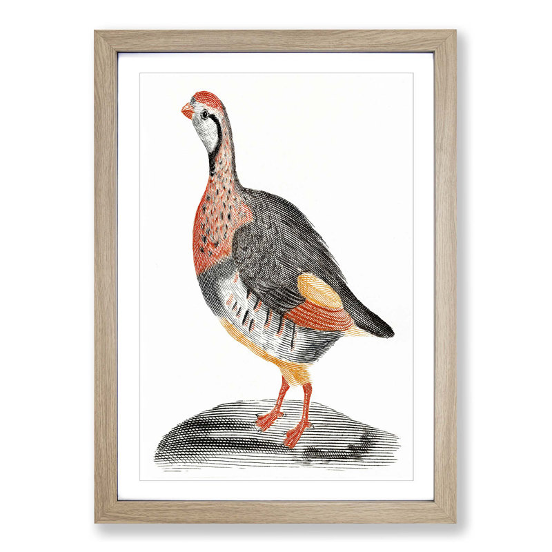 A Partridge by Johan Teyler - Single Picture Frame Painting, Oak Framed, 33cm H x 24cm W x 2cm D