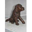 Statue en bronze d'épagneul cocker Josephs assis - Taille: L 20 po x l 10 po x H 16 po.