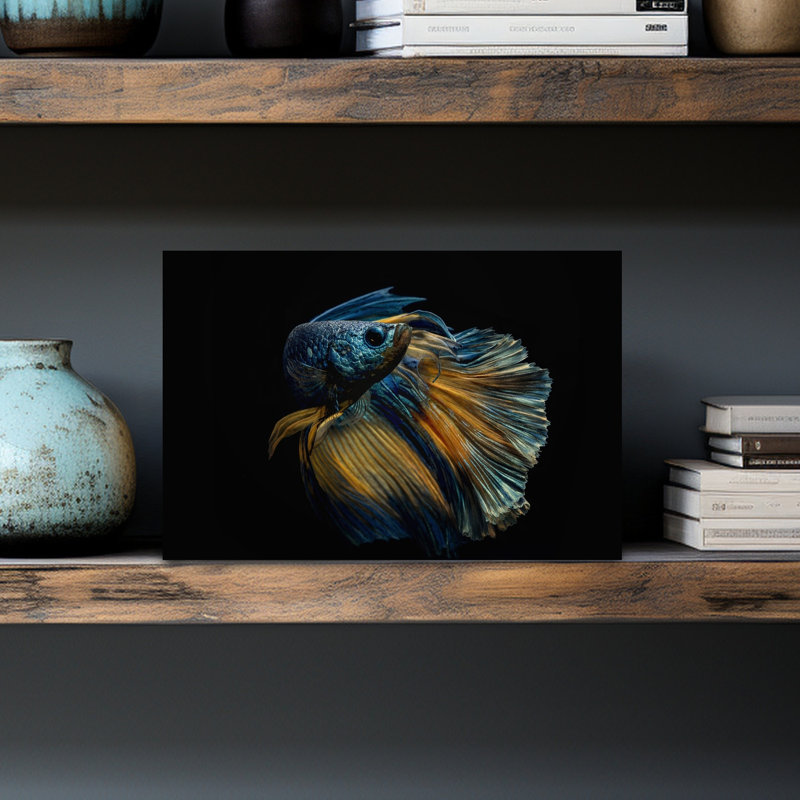 Elegant Betta Fish Colorful Delicate Elegant Fish Nature Portrait Wall Art Print by Andi Halil - Print, 30.48cm H x 45.72cm W