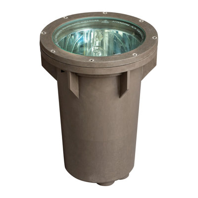 Hardwired Well Light