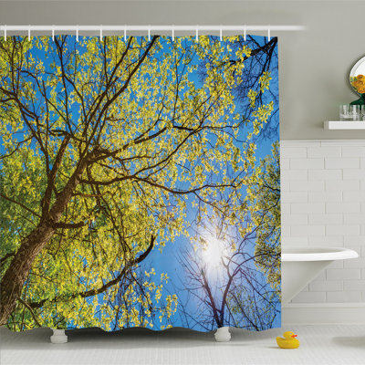 Forest Tree Branches Pastoral Lumber Wide Flourishing Natural Beauty Eco Backed Shower Curtain Set -  East Urban Home, sc_20664_extralong