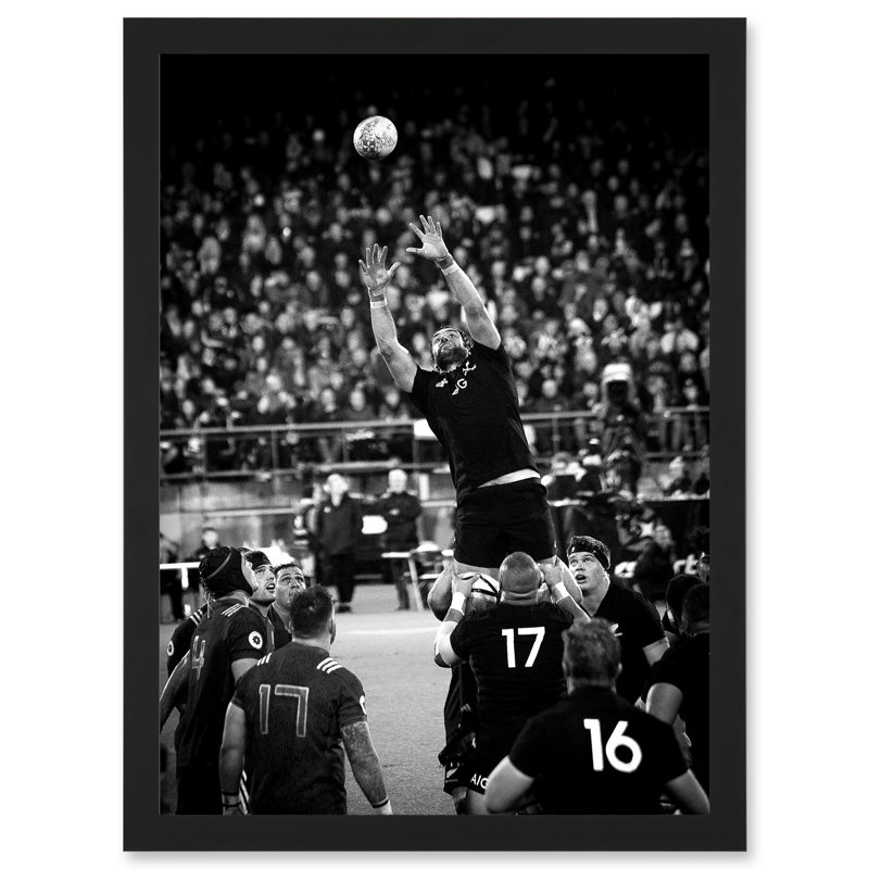 Coleman Rugby Union Line Out New Zealand - Single Picture Frame Print
