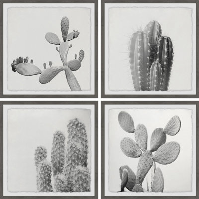 «Cacti Types Quadrupych» par Marmont Hill - ensemble de 4 reproductions d'art sur papier encadré