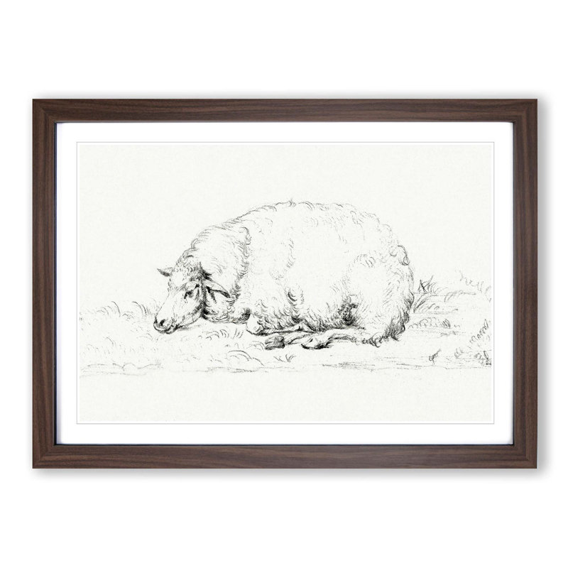 Resting Sheep by Jean Bernard - Picture Frame Drawing Print on MDF, Walnut Framed, 36cm H x 48cm W x 2cm D