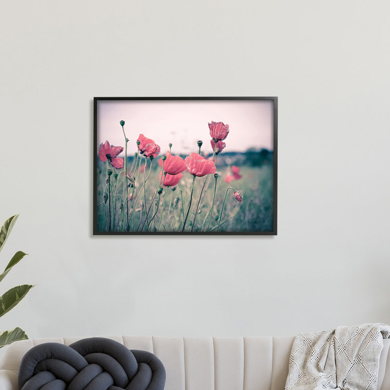 Champ de coquelicots d'automne - photographie, H 16 po x l 20 po, Giclée encadrée noir minuit