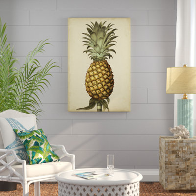 «Brookshaw Antique Pineapple I», peinture sur toile