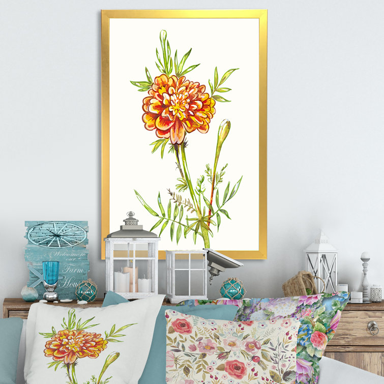 https://assets.wfcdn.com/im/15366251/resize-h755-w755%5Ecompr-r85/2191/219127514/Blossoming+Orange+Marigold+Flower.jpg