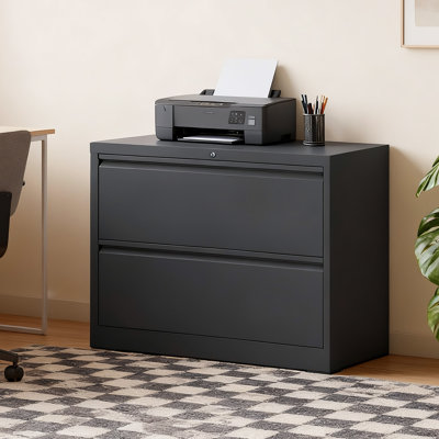 2-Drawer Lateral File Cabinet, Extra Storage Surface & 110lbs Capacity Drawers with Full Extension & Anti-Tip by Inbox Zero