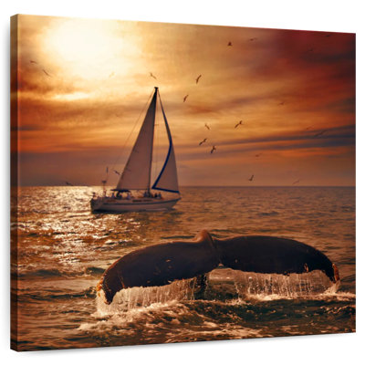 Crowle Sunset Whale Watching
