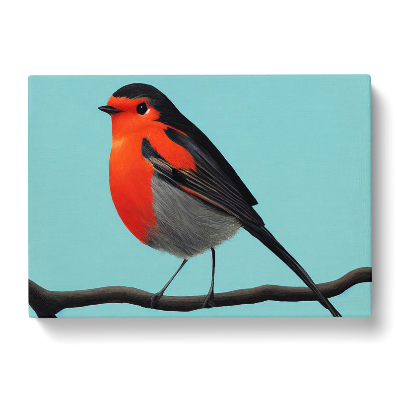 Enlightened Robin Bird - Wrapped Canvas, 35cm H x 50cm W x 3cm D