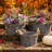 Sorensen 3 Piece Galvanized Planters
