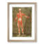 Anatomical Illustration of a Male No. 5 by Gautier-Dagoty - Picture Frame Painting Print-55682206-55682204