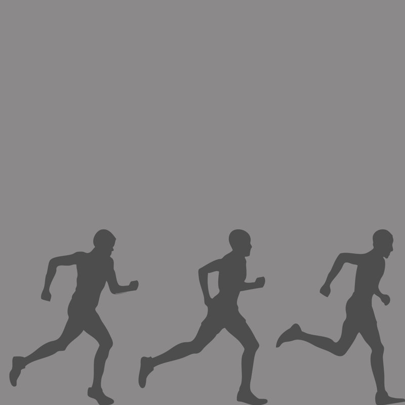 Moneta Sports Non-Wall Damaging Wall Decal, Dark Gray