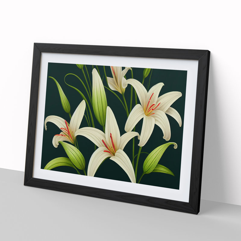 Collection of Lily Flowers Vol.1 - Framed Print, Black, 46cm H x 64cm W x 2cm D