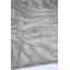Hibiki Silver Area Rug-69138371