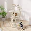 54.5'' H Drina Cat Tree-1748899181