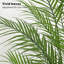 Plant-895383160