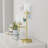Tavon Metal Desk Lamp
