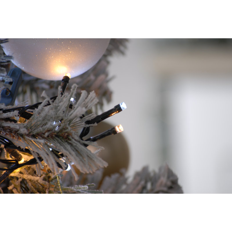1.27cm LED Twinkle Indoor / Outdoor String Lights, 300