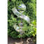 Rufous Metal Abstract Gazing Ball