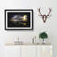 Sydney Harbour Bridge Australia - Picture Frame Graphic Art Print-56864080-56864081