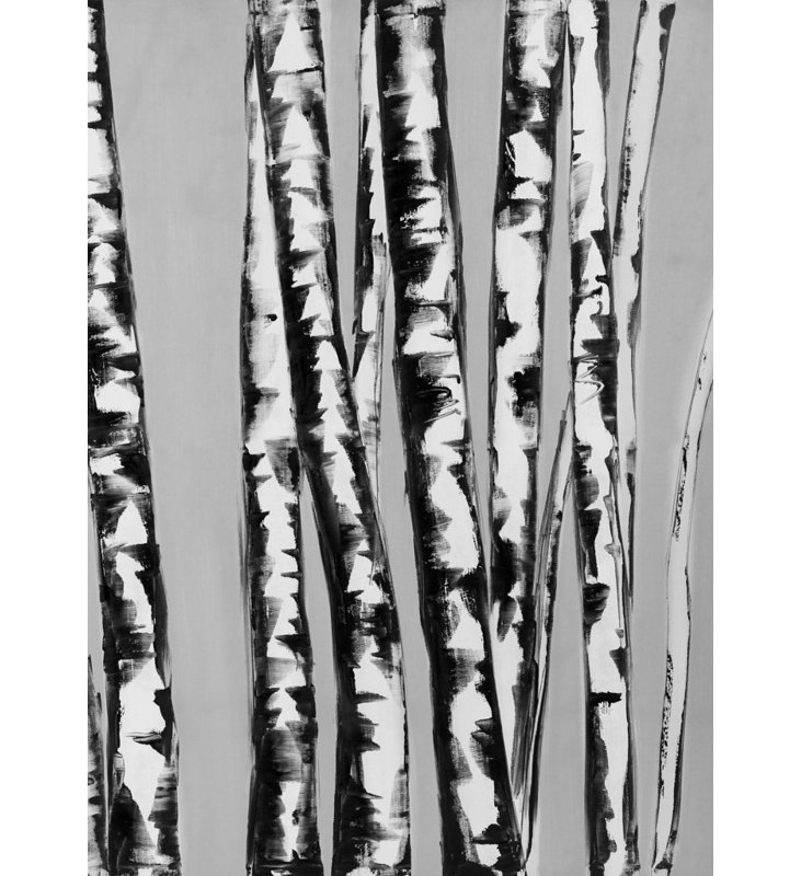 Birches Intersecting - Paysages, arbres, toile pour la décoration intérieure
