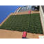 Faux Foliage Hedge